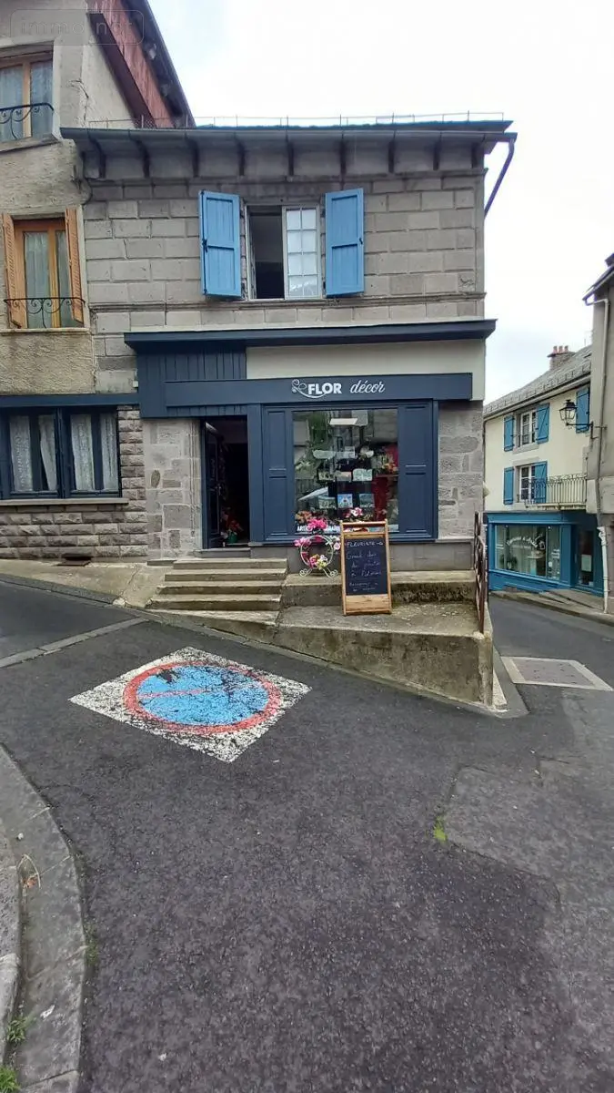 Immeuble de rapport a vendre Murat 15300 Cantal 15 71 m2 209300 euros FG/2378 003
