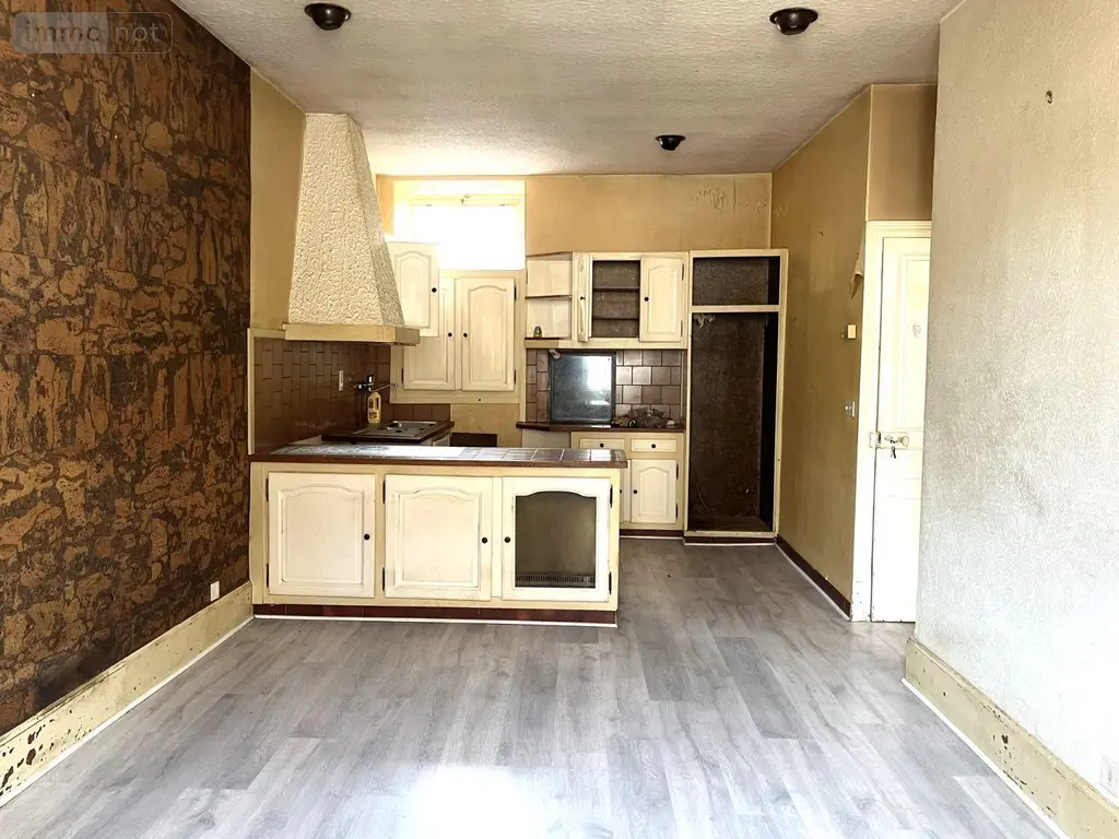 Maison a vendre L'Isle-sur-Serein 89440 Yonne 89 55 m2 4 pièces 46000 euros 89099/140685 005