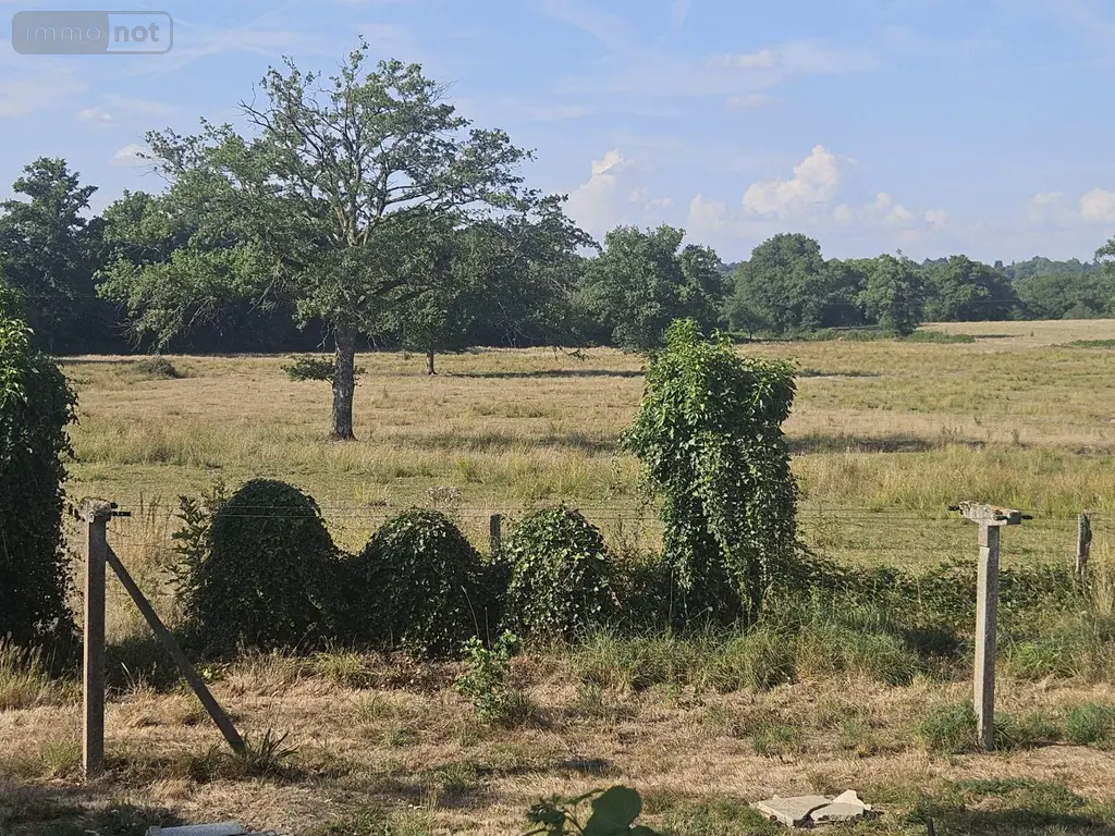 Viager maison Vaulry 87140 Haute-Vienne 87 107 m2 4 pièces 48800 euros MGC/1113 019