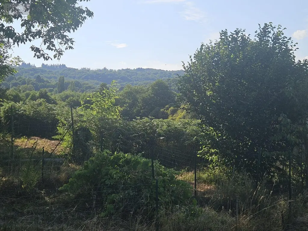 Viager maison Vaulry 87140 Haute-Vienne 87 107 m2 4 pièces 48800 euros MGC/1113 022