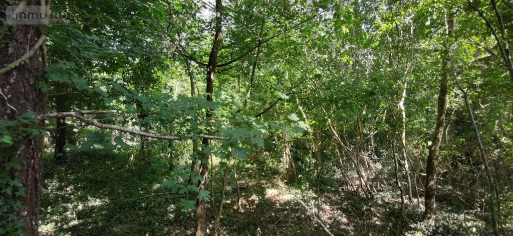 Bien agricole a vendre Genouilly 18310 Cher 18 4300 euros 142553G 002