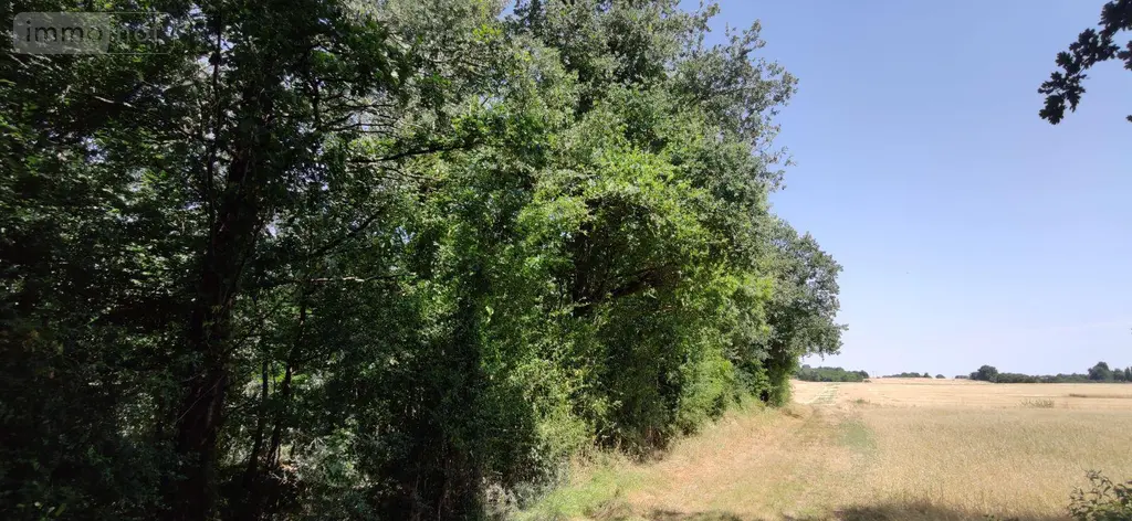 Bien agricole a vendre Genouilly 18310 Cher 18 4300 euros 142553G 003