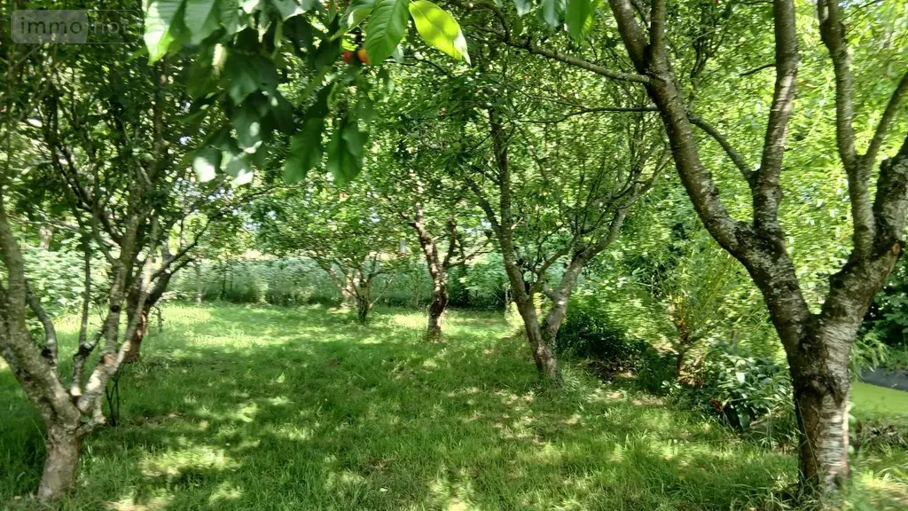 Maison a vendre Carentoir 56910 Morbihan 56 127 m2 4 pièces 249000 euros 009/1265 002