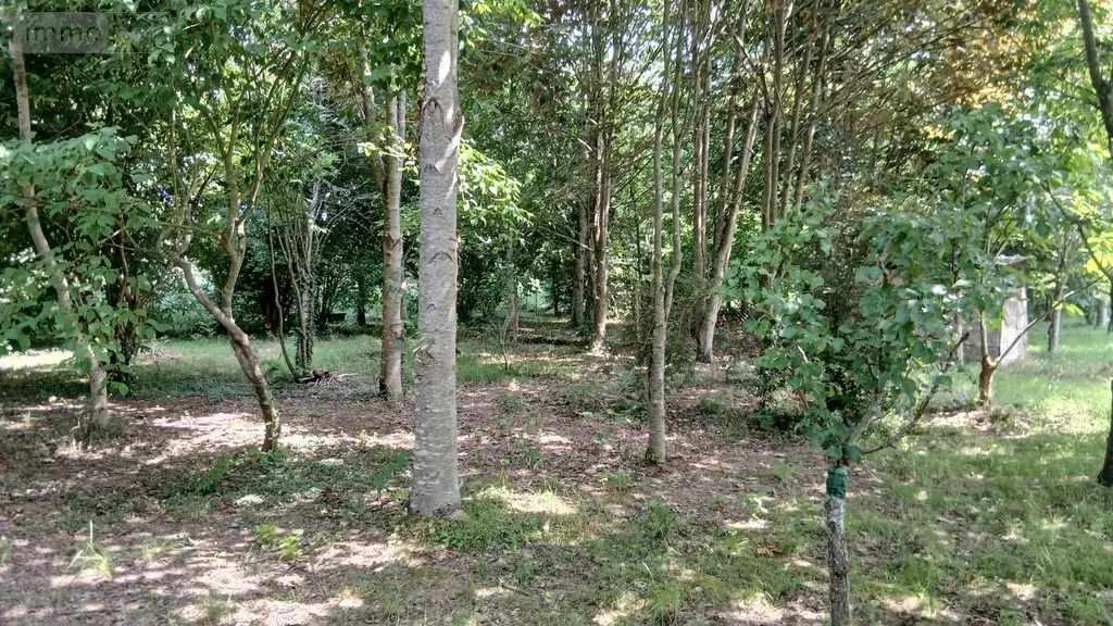 Maison a vendre Carentoir 56910 Morbihan 56 127 m2 4 pièces 249000 euros 009/1265 017