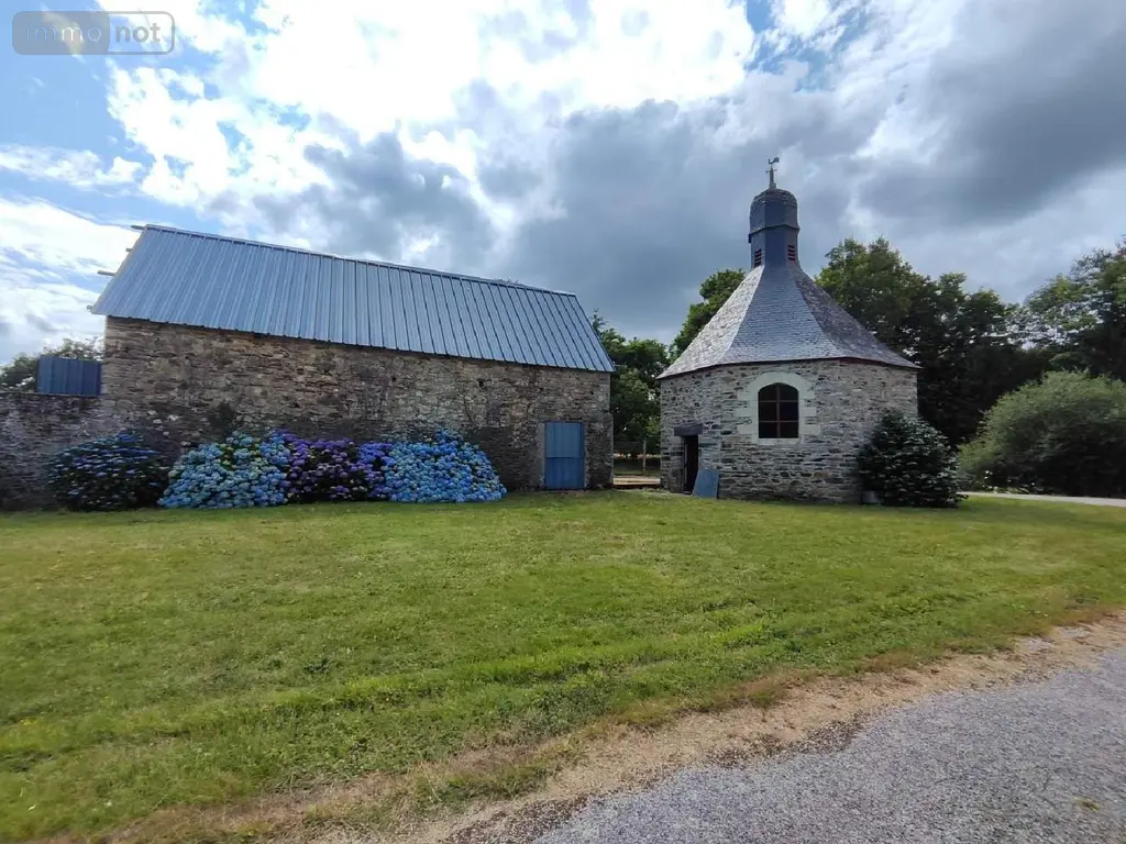 Propriete a vendre Carentoir 56910 Morbihan 56 295 m2 6 pièces 593000 euros 009/1163 011
