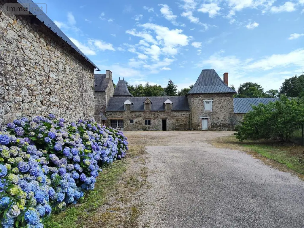 Propriete a vendre Carentoir 56910 Morbihan 56 295 m2 6 pièces 593000 euros 009/1163 012