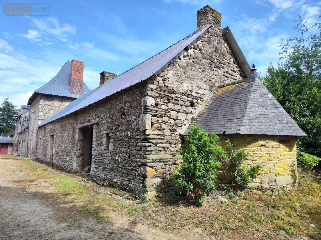 Propriete a vendre Carentoir 56910 Morbihan 56 295 m2 6 pièces 593000 euros 009/1163 015