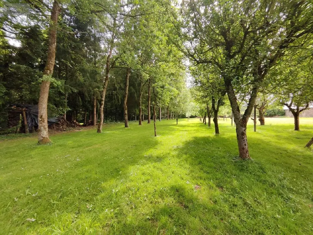 Propriete a vendre Carentoir 56910 Morbihan 56 295 m2 6 pièces 593000 euros 009/1163 016