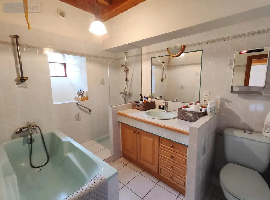Propriete a vendre Carentoir 56910 Morbihan 56 295 m2 6 pièces 593000 euros 009/1163 018