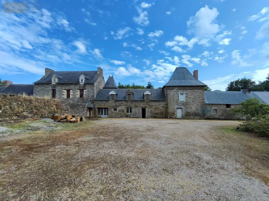 Propriete a vendre Carentoir 56910 Morbihan 56 295 m2 6 pièces 593000 euros 009/1163 010