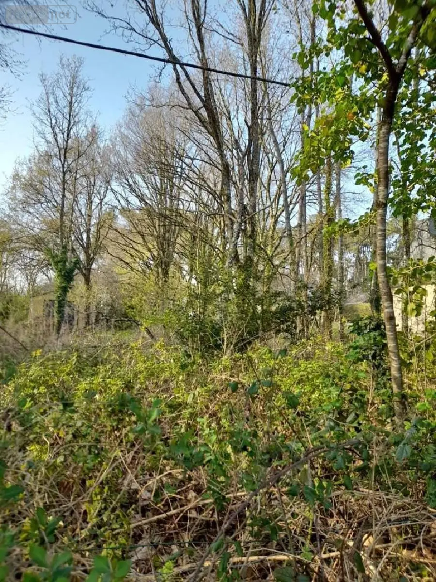 Terrain a batir a vendre La Gacilly 56200 Morbihan 56 1182 m2 44370 euros 009/1206 001