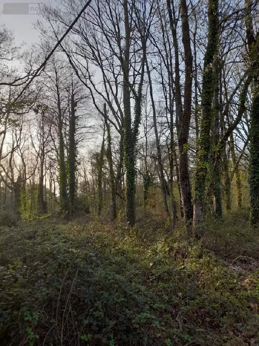 Terrain a batir a vendre La Gacilly 56200 Morbihan 56 1182 m2 44370 euros 009/1206 002