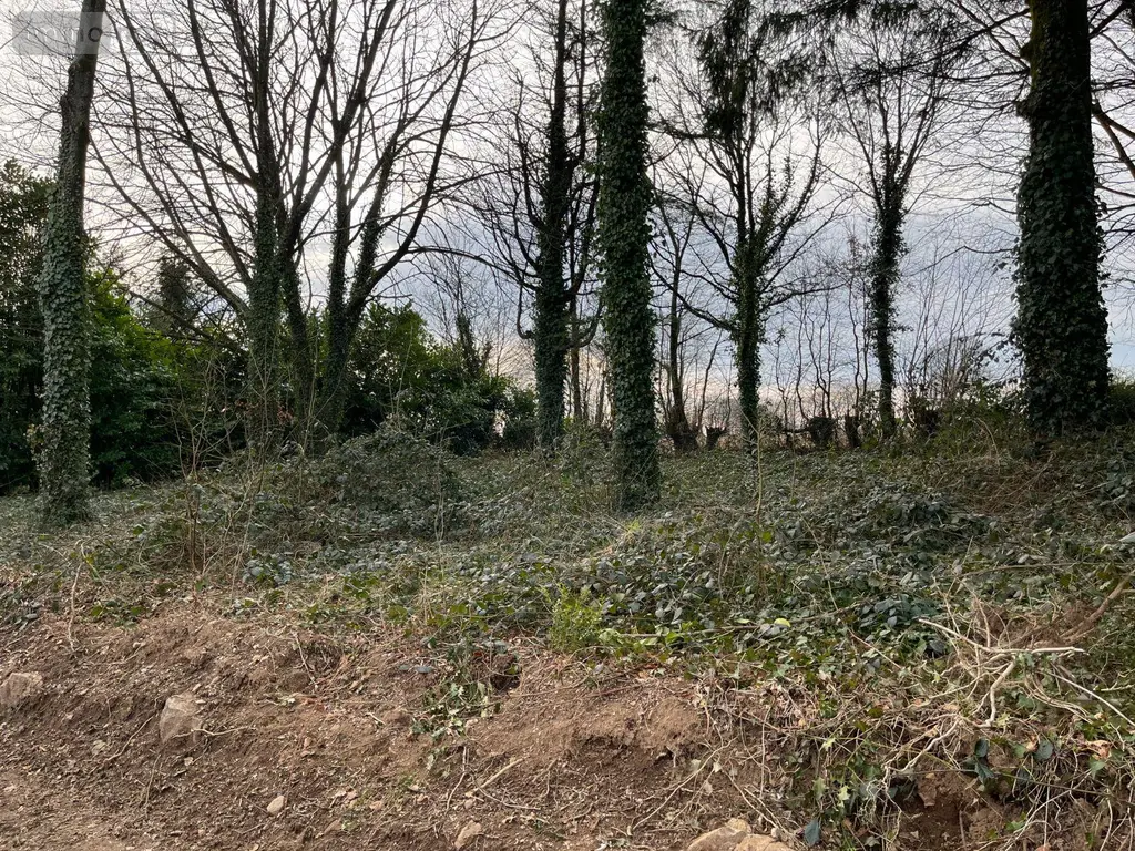 Maison a vendre Vengeons 50150 Manche 50 164 m2 8 pièces 194397 euros 12547/307 014