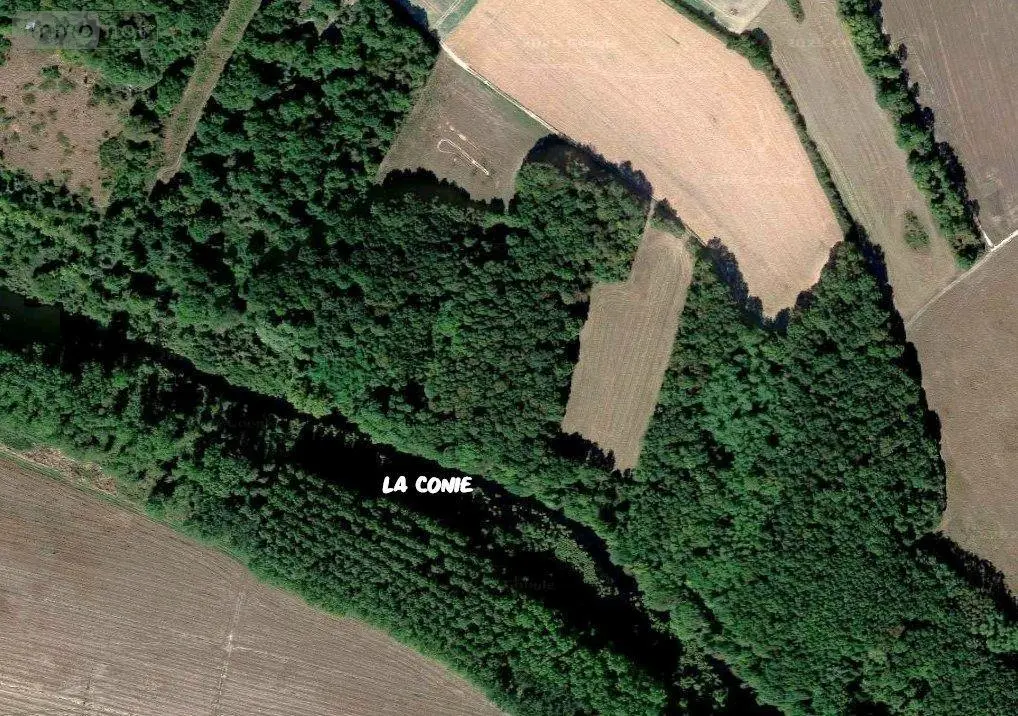 Terrains de loisirs bois etangs a vendre Villiers-Saint-Orien 28800 Eure-et-Loir 28 7000 euros RC/901 003