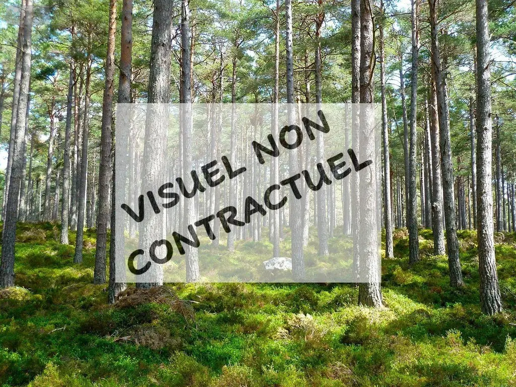 Terrains de loisirs bois etangs a vendre Villiers-Saint-Orien 28800 Eure-et-Loir 28 7000 euros RC/901 001