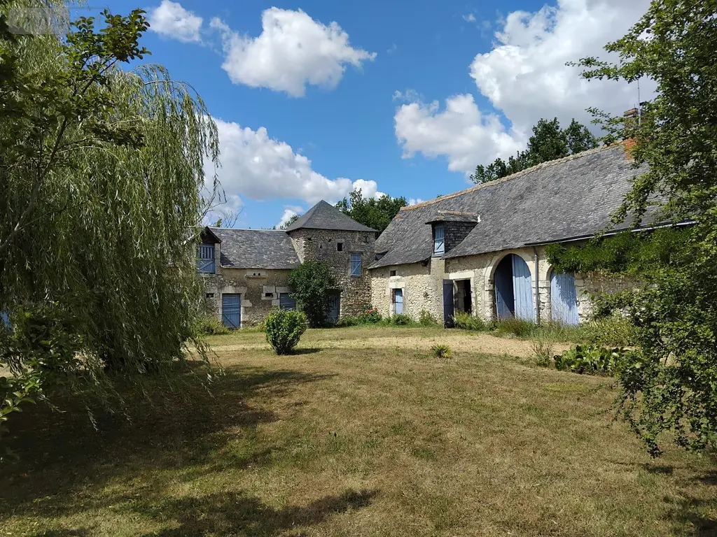 Viager maison Noyant-Villages 49490 Maine-et-Loire 49 183 m2 11 pièces 100000 euros 13861/1571 002