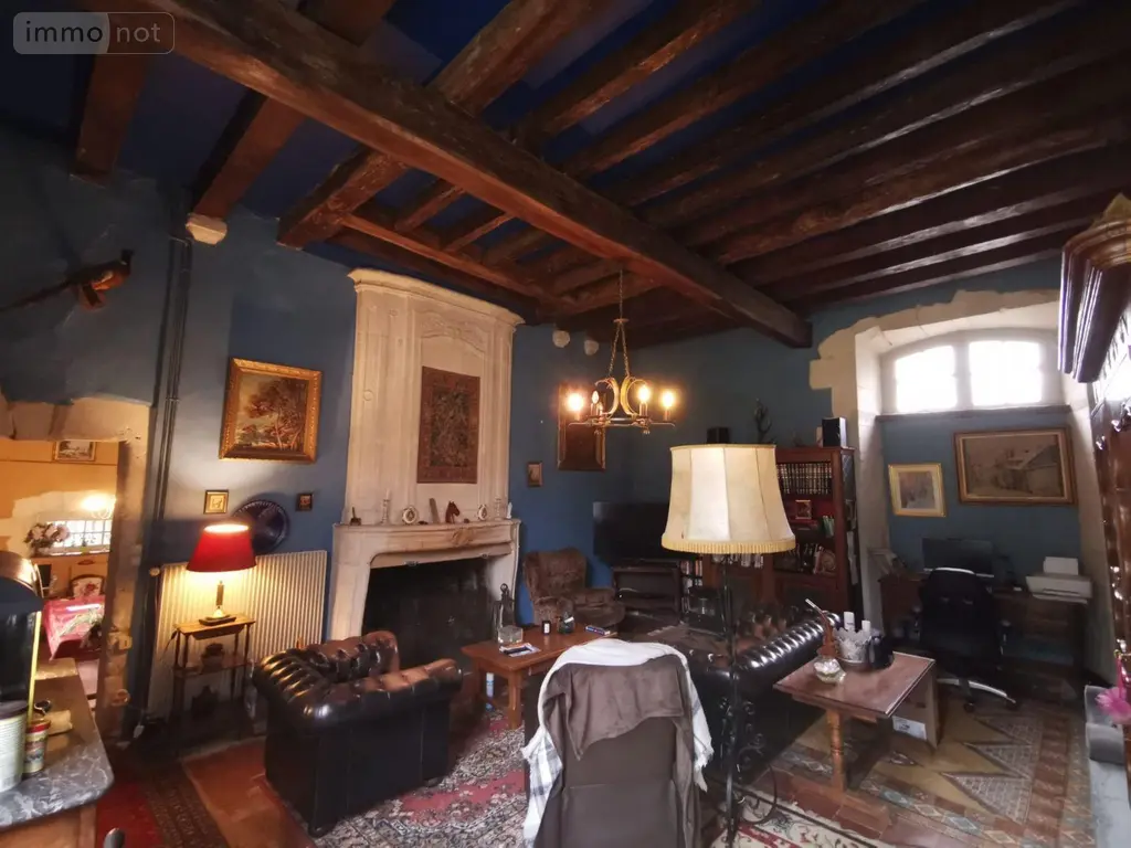 Viager maison Noyant-Villages 49490 Maine-et-Loire 49 183 m2 11 pièces 100000 euros 13861/1571 005