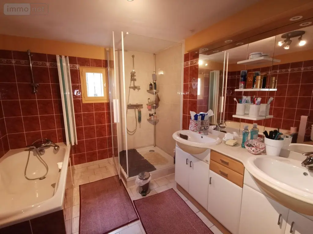 Viager maison Noyant-Villages 49490 Maine-et-Loire 49 183 m2 11 pièces 100000 euros 13861/1571 007