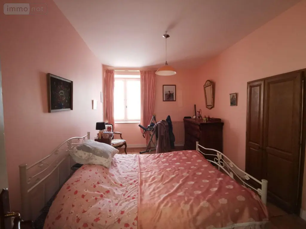 Viager maison Noyant-Villages 49490 Maine-et-Loire 49 183 m2 11 pièces 100000 euros 13861/1571 012