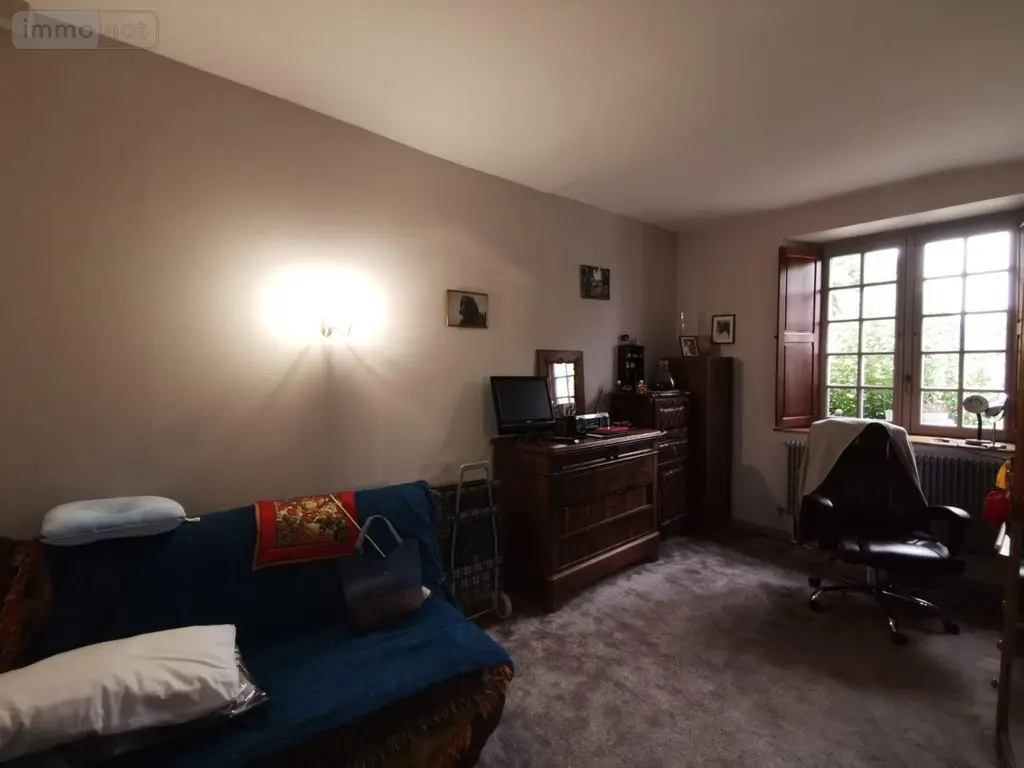 Viager maison Noyant-Villages 49490 Maine-et-Loire 49 183 m2 11 pièces 100000 euros 13861/1571 013