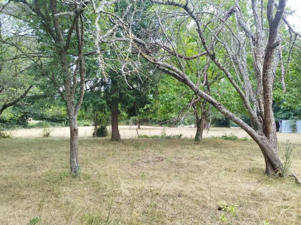 Maison a vendre Vijon 36160 Indre 36 75 m2 3 pièces 43000 euros 2454 014