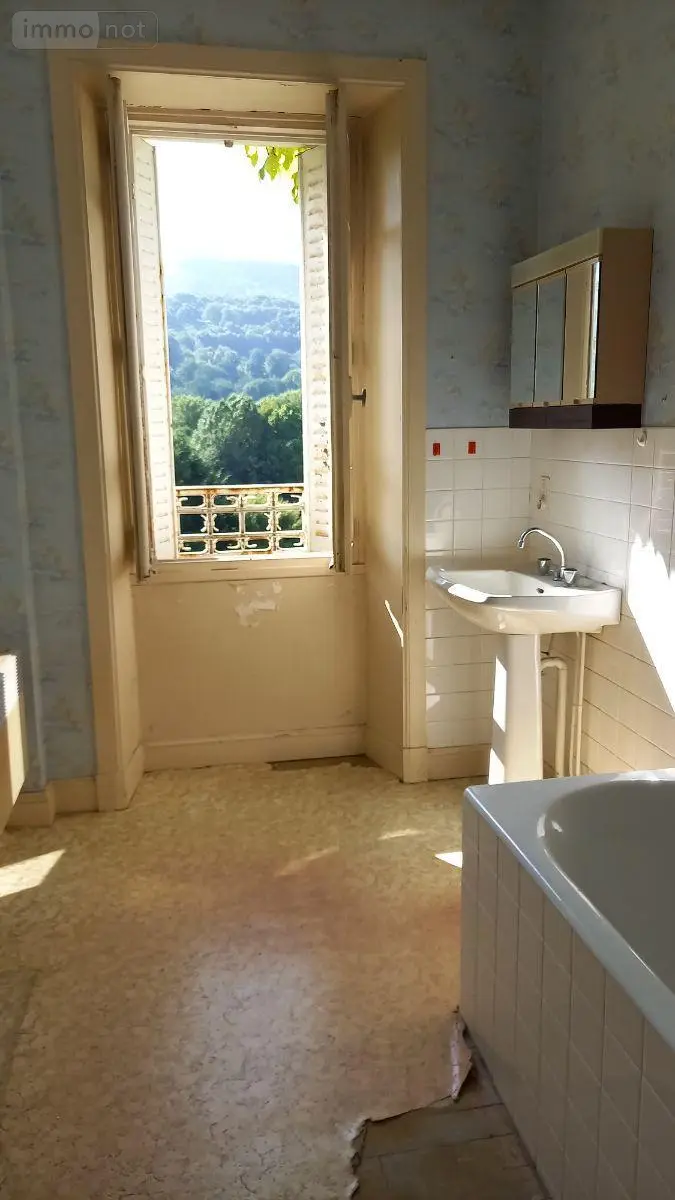 Maison a vendre Vic-sur-Cère 15800 Cantal 15 308 m2 138300 euros MG/2386 014