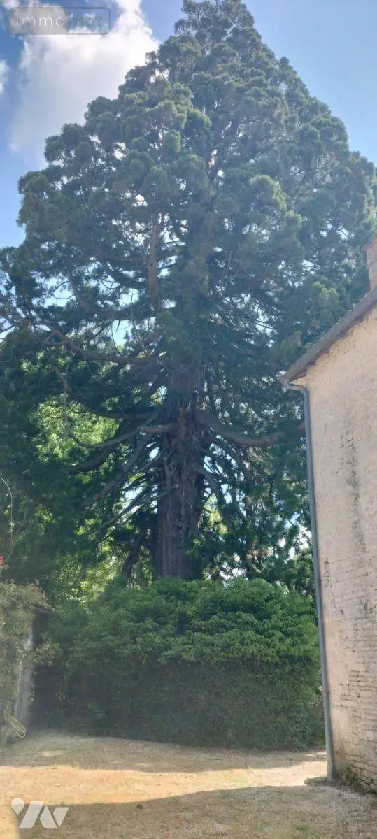 Maison a vendre Périgné 79170 Deux-Sèvres 79 338 m2 10 pièces 435700 euros MR1531 016