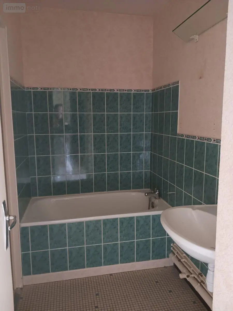 Appartement a vendre Bar-sur-Seine 10110 Aube 10 65 m2 3 pièces 47925 euros 10063/1256 003