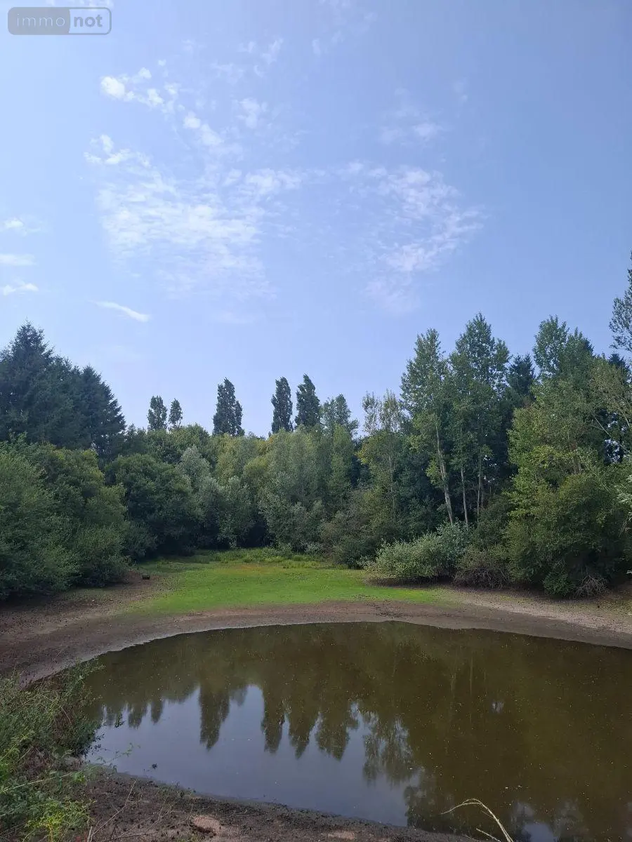 Terrains de loisirs bois etangs a vendre Malicorne 03600 Allier 03 19617 m2 45580 euros 18016/1981 002