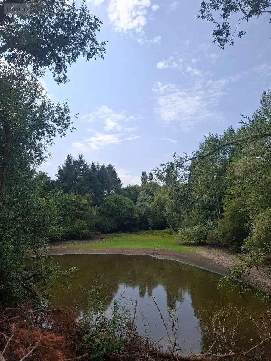 Terrains de loisirs bois etangs a vendre Malicorne 03600 Allier 03 19617 m2 45580 euros 18016/1981 003