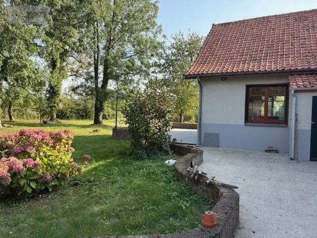 Maison a vendre Maintenay 62870 Pas-de-Calais 62 335 m2 13 pièces 527850 euros 083/2066 007