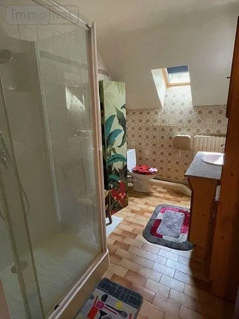 Maison a vendre Chaumont-sur-Loire 41150 Loir-et-Cher 41 161 m2 7 pièces 314000 euros 001/2156 015
