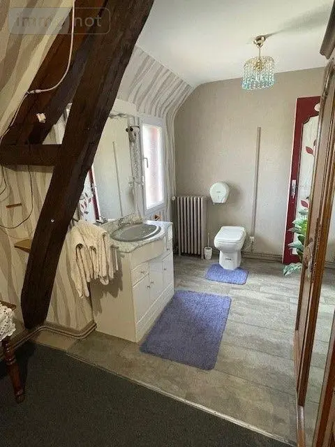 Maison a vendre Chaumont-sur-Loire 41150 Loir-et-Cher 41 161 m2 7 pièces 314000 euros 001/2156 011