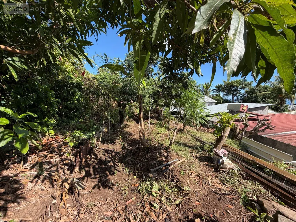 Maison a vendre Saint-Denis 97490 La Réunion 974 165 m2 7 pièces 350000 euros 97405/194 029