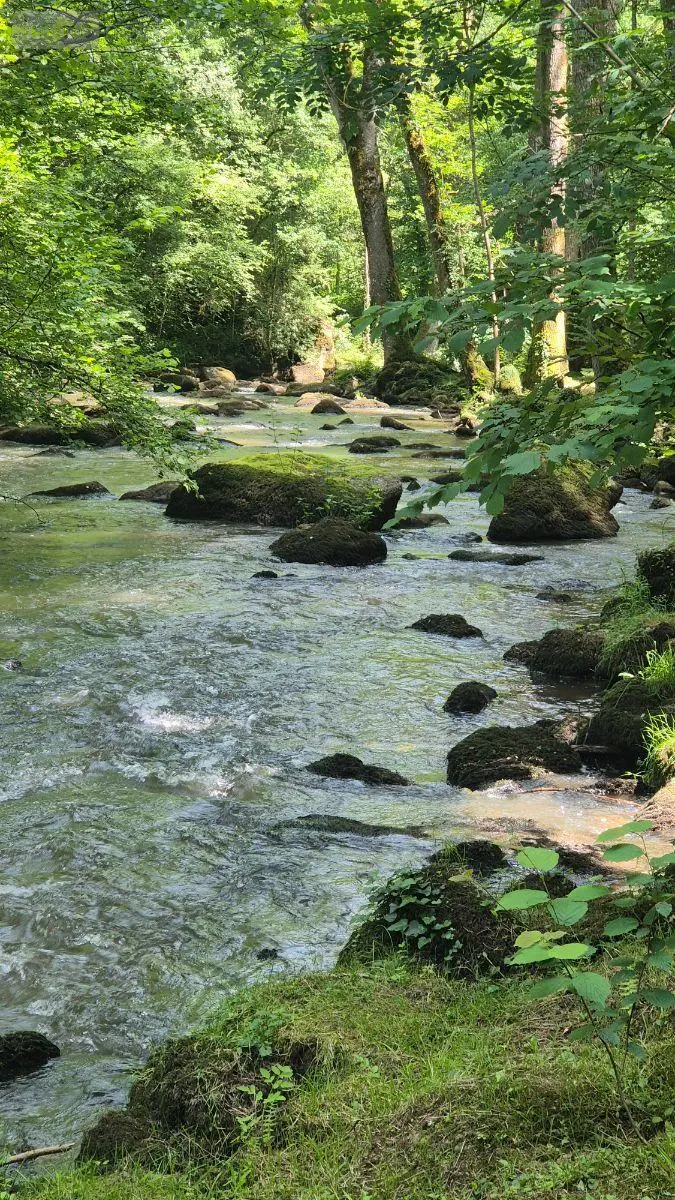 Terrains de loisirs bois etangs a vendre Gorron 53120 Mayenne 53 105280 euros 2881 003