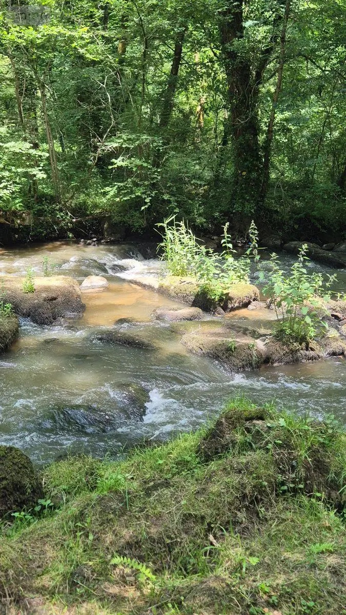 Terrains de loisirs bois etangs a vendre Gorron 53120 Mayenne 53 105280 euros 2881 002