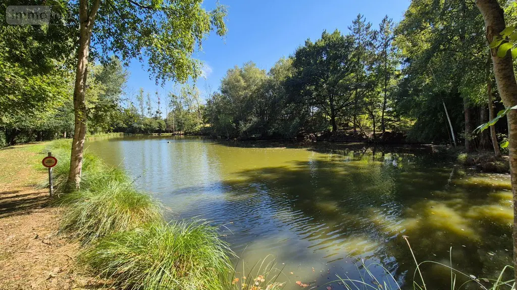 Terrains de loisirs bois etangs a vendre Gorron 53120 Mayenne 53 105280 euros 2881 005