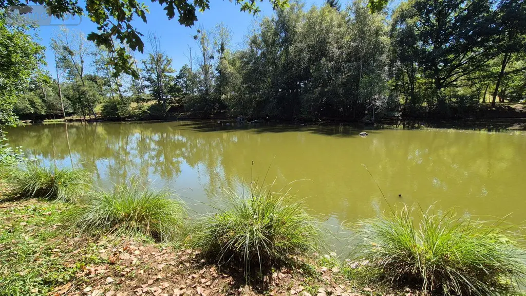 Terrains de loisirs bois etangs a vendre Gorron 53120 Mayenne 53 105280 euros 2881 006