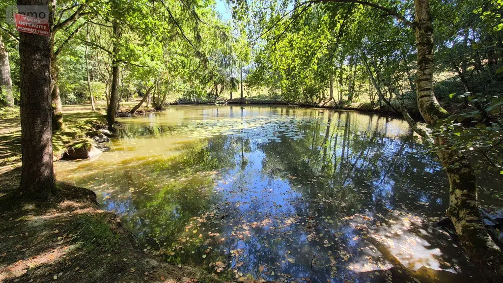 Terrains de loisirs bois etangs a vendre Gorron 53120 Mayenne 53 105280 euros 2881 007