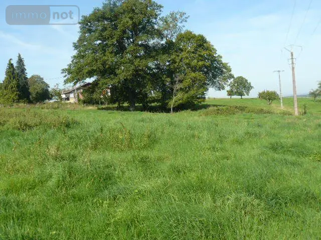 Terrain a batir a vendre Sainte-Barbe 88700 Vosges 88 2000 m2 40000 euros 2155 003