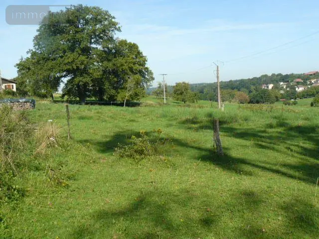 Terrain a batir a vendre Sainte-Barbe 88700 Vosges 88 2000 m2 40000 euros 2155 004