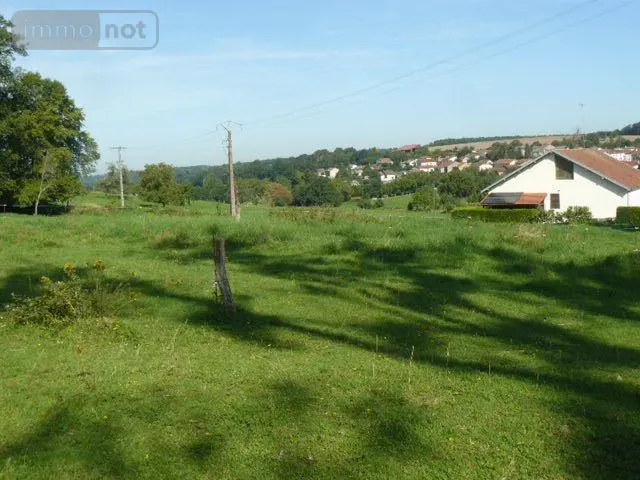 Terrain a batir a vendre Sainte-Barbe 88700 Vosges 88 2000 m2 40000 euros 2155 005