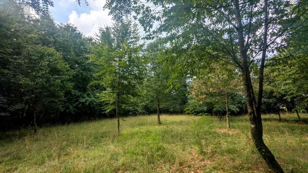 Maison a vendre Renac 35660 Ille-et-Vilaine 35 170 m2 7 pièces 287000 euros 2520 014
