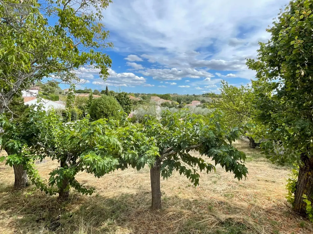 Maison a vendre Valensole 04210 Alpes-de-Haute-Provence 04 125 m2 4 pièces 314600 euros 025/1912 017