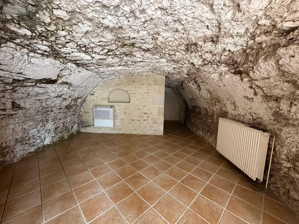 Maison a vendre Chissay-en-Touraine 41400 Loir-et-Cher 41 255 m2 11 pièces 220367 euros 12101/1301 018