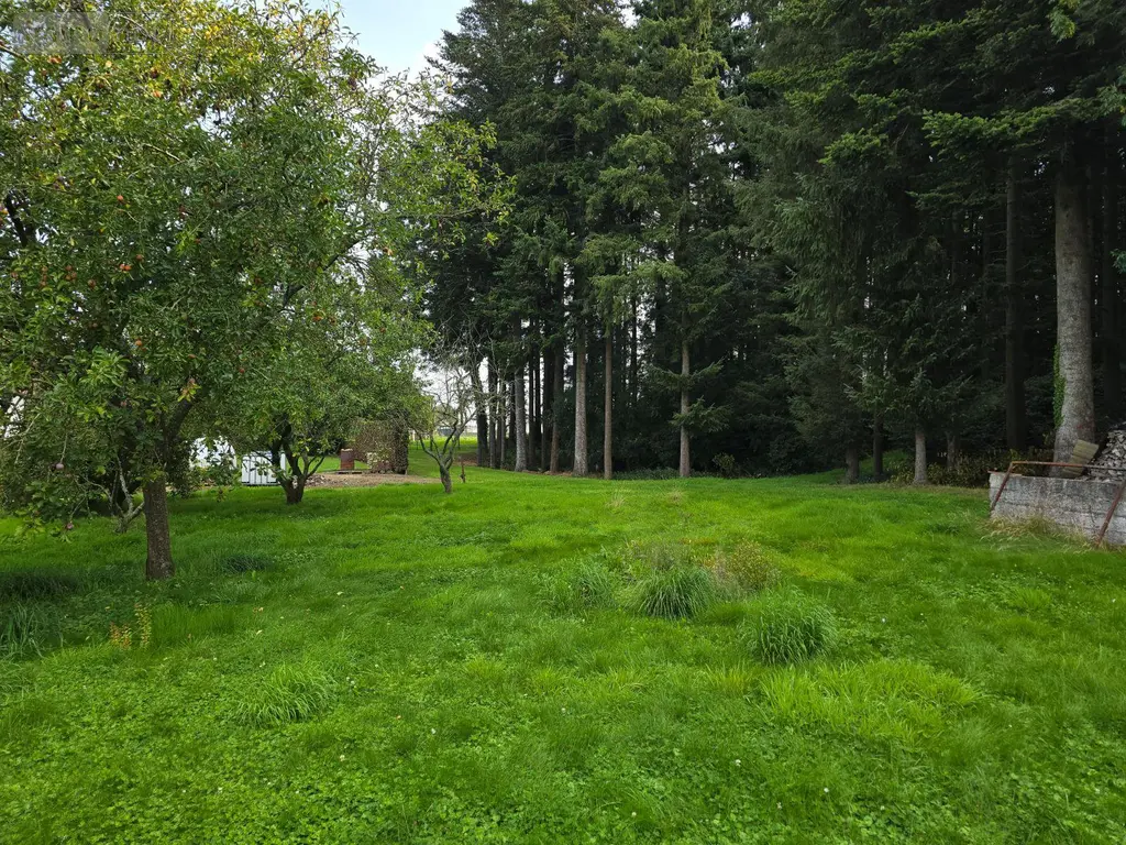 Terrain a batir a vendre Callengeville 76270 Seine-Maritime 76 250 m2 28620 euros TEBA166 002