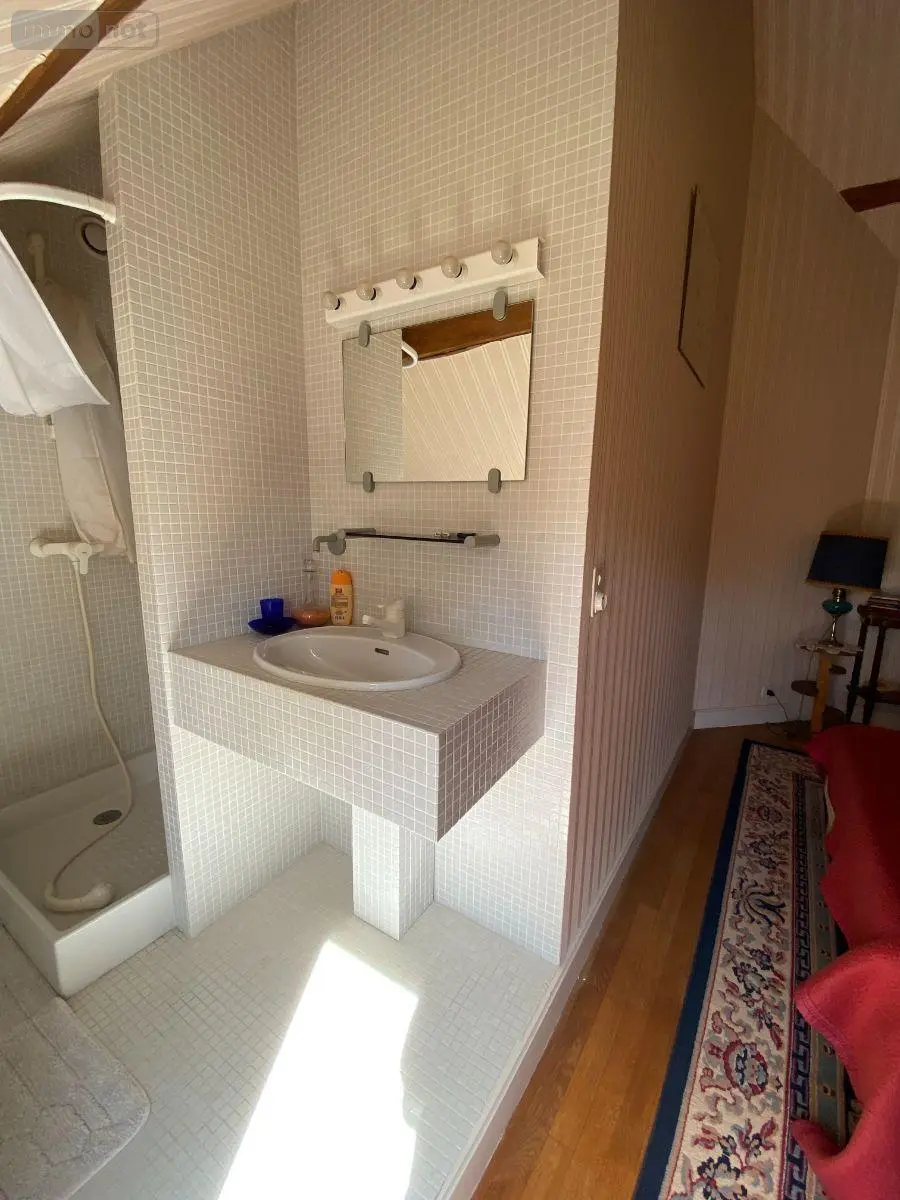 Maison a vendre Villegouin 36500 Indre 36 207 m2 6 pièces 340400 euros 1048866 031