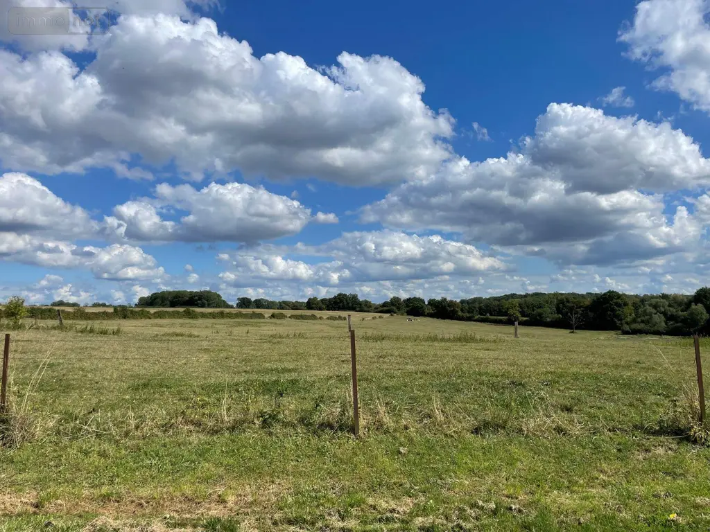 Terrain a batir a vendre Saulces-Monclin 08270 Ardennes 08 969 m2 32500 euros 08018-TEBA-2194 002