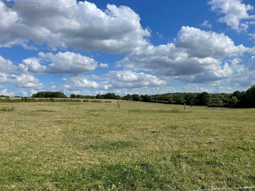 Terrain a batir a vendre Saulces-Monclin 08270 Ardennes 08 969 m2 32500 euros 08018-TEBA-2194 003