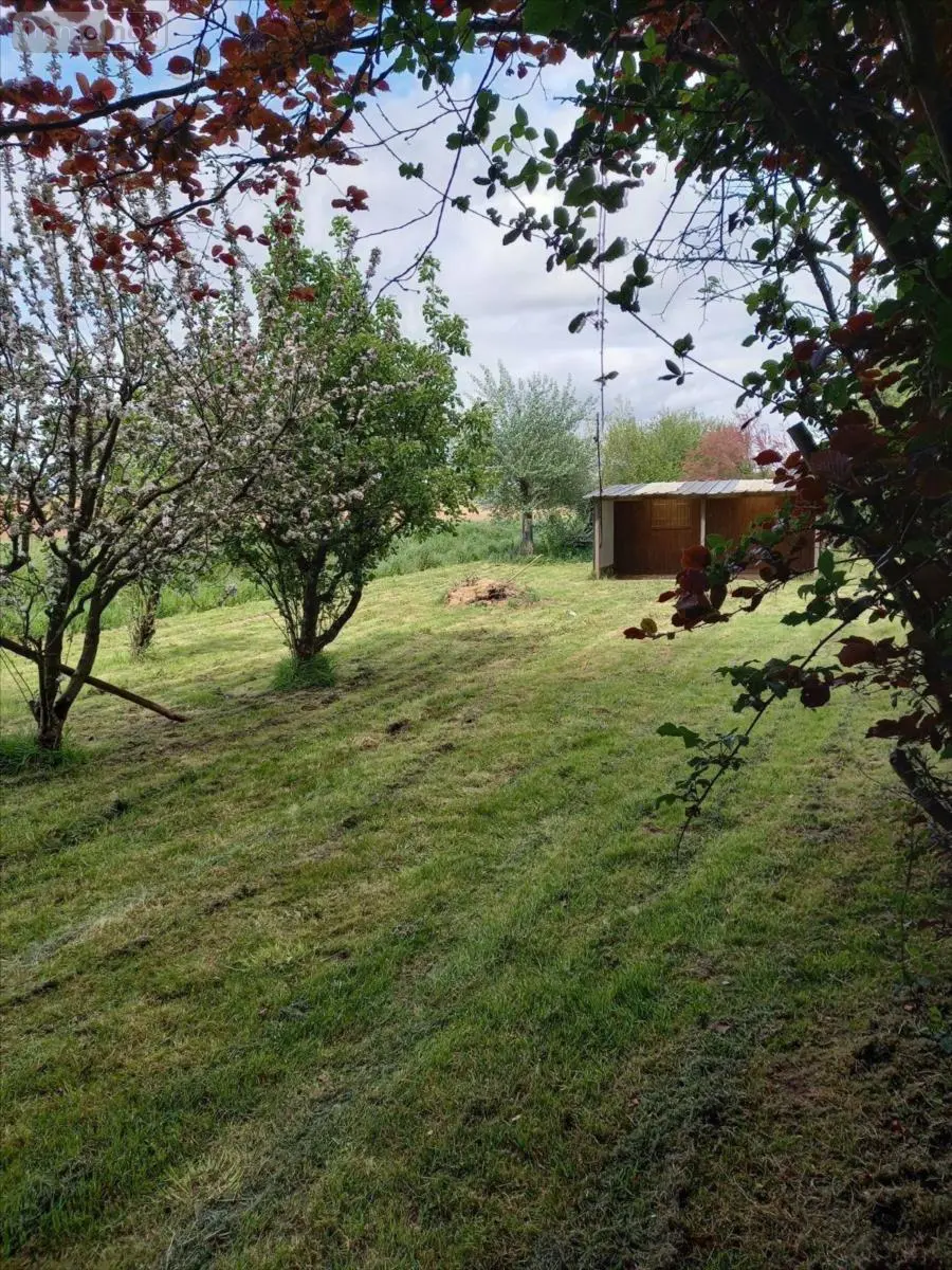 Terrains de loisirs bois etangs a vendre La Pellerine 53220 Mayenne 53 25000 euros 53077-1080800 002